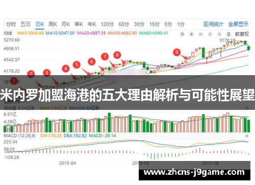 米内罗加盟海港的五大理由解析与可能性展望 米内罗加盟海港的五大理由解析与可能性展望