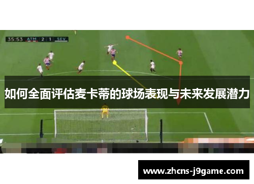 如何全面评估麦卡蒂的球场表现与未来发展潜力