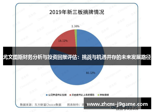尤文图斯财务分析与投资回报评估：挑战与机遇并存的未来发展路径